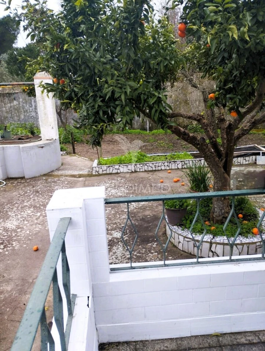 Moradia T4 para Venda em São Bento do Mato Foto 14