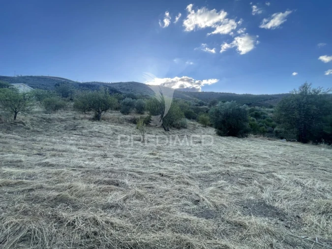 Terreno para Venda em Freixo de Numão Foto 1