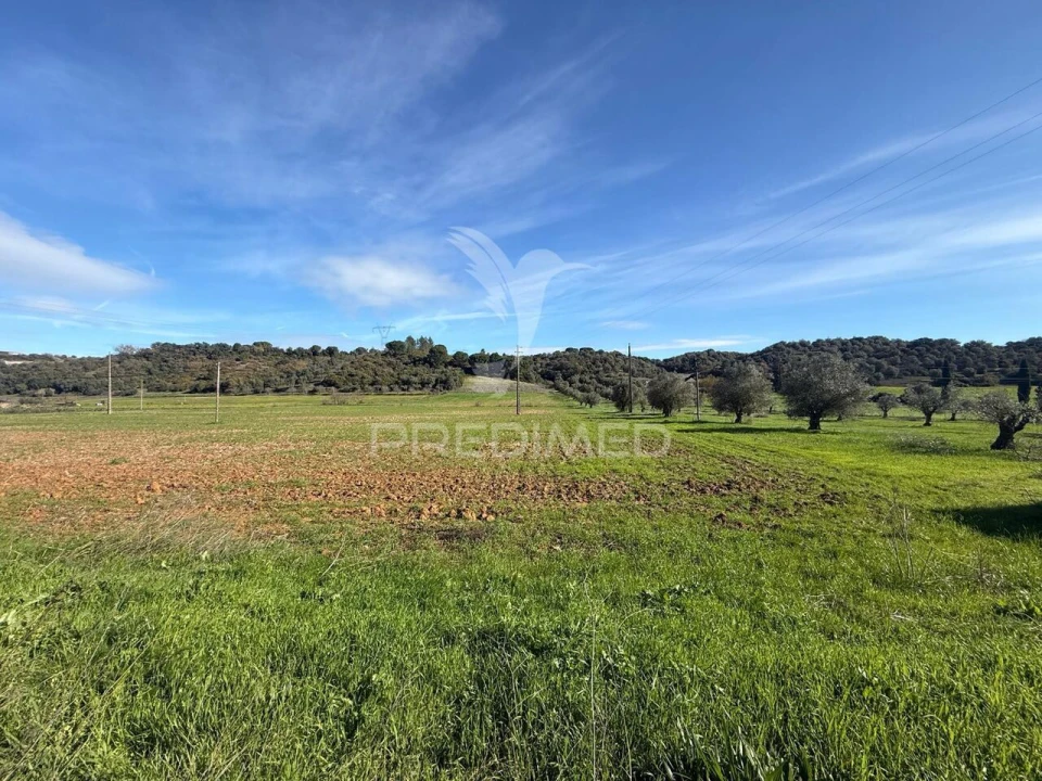 Terreno para Venda em Pernes Foto 23