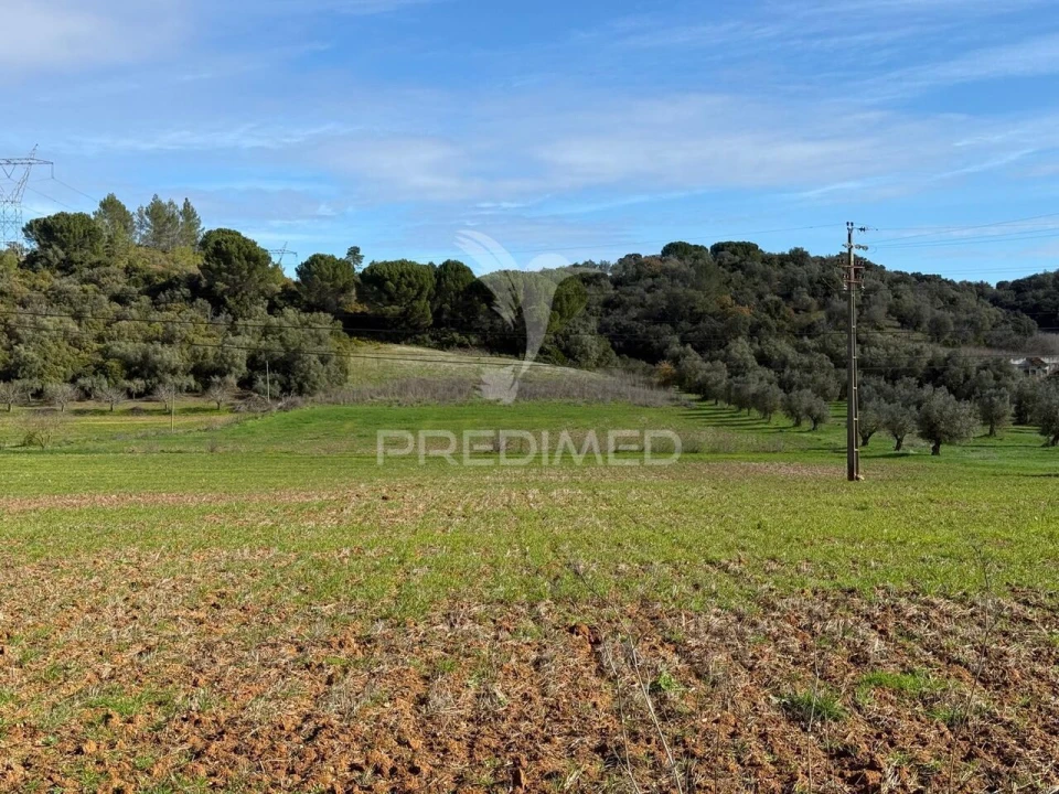 Terreno para Venda em Pernes Foto 10