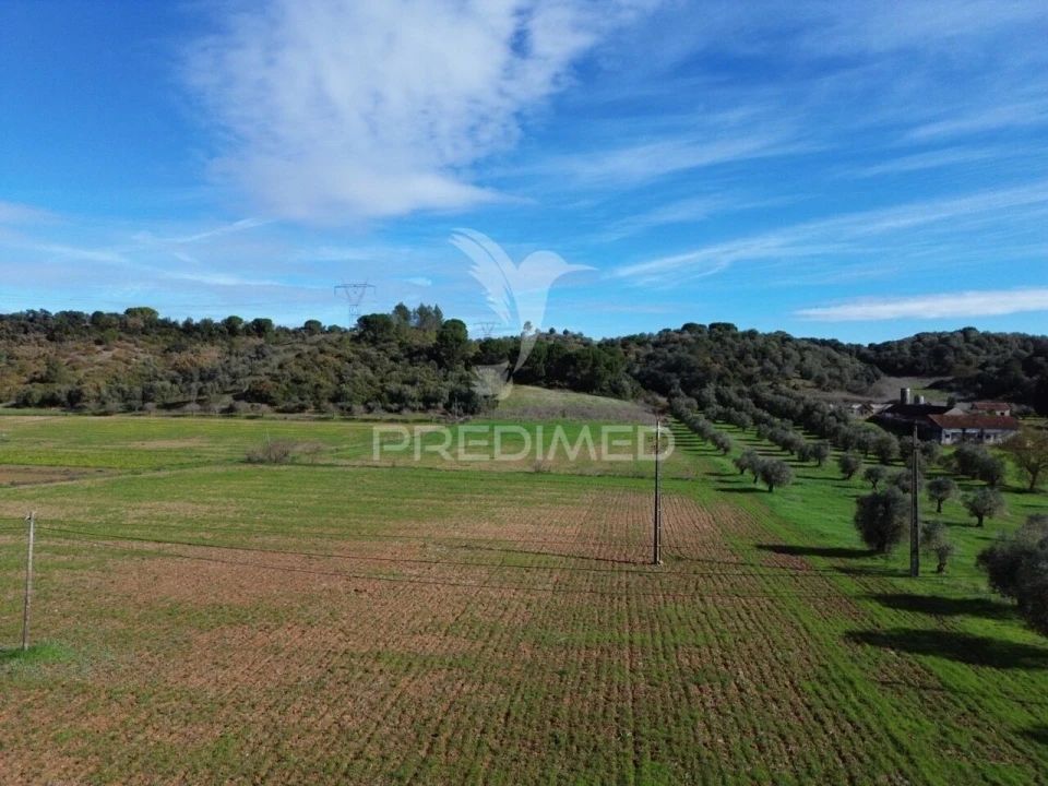 Terreno para Venda em Pernes Foto 29