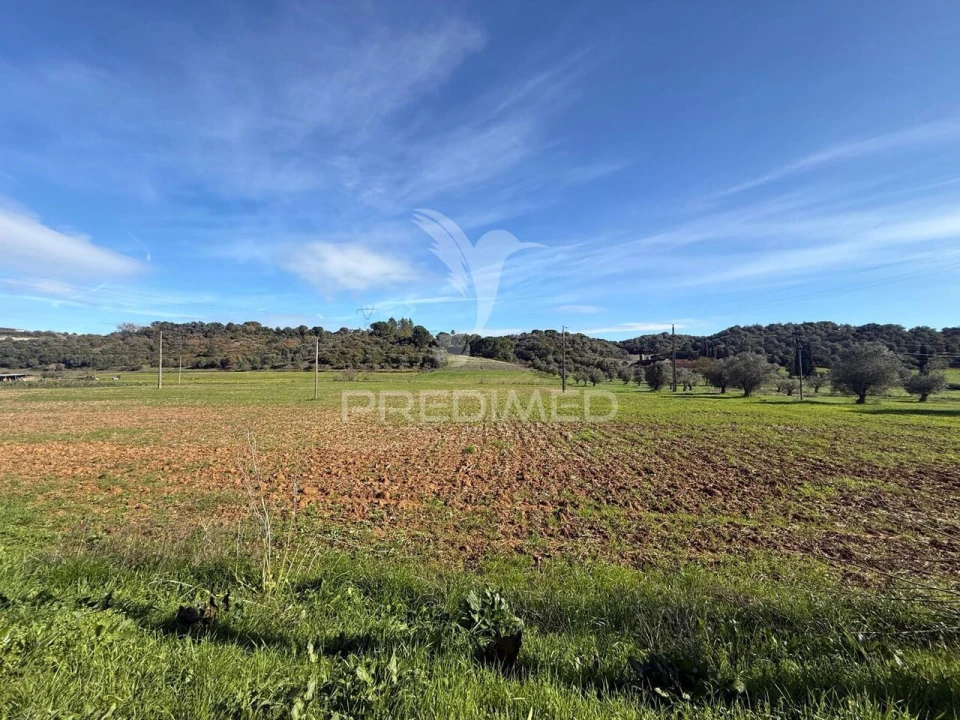 Terreno para Venda em Pernes Foto 22