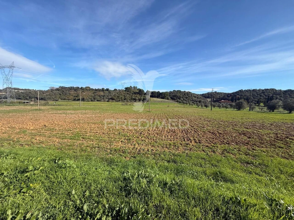 Terreno para Venda em Pernes Foto 21