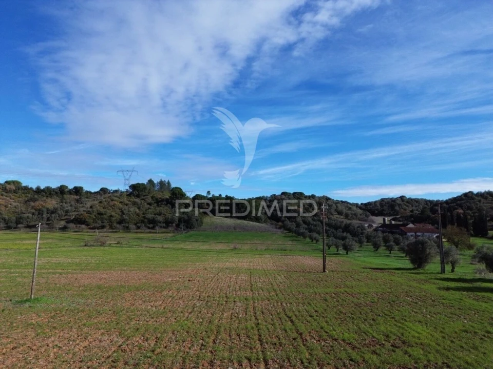 Terreno para Venda em Pernes Foto 28