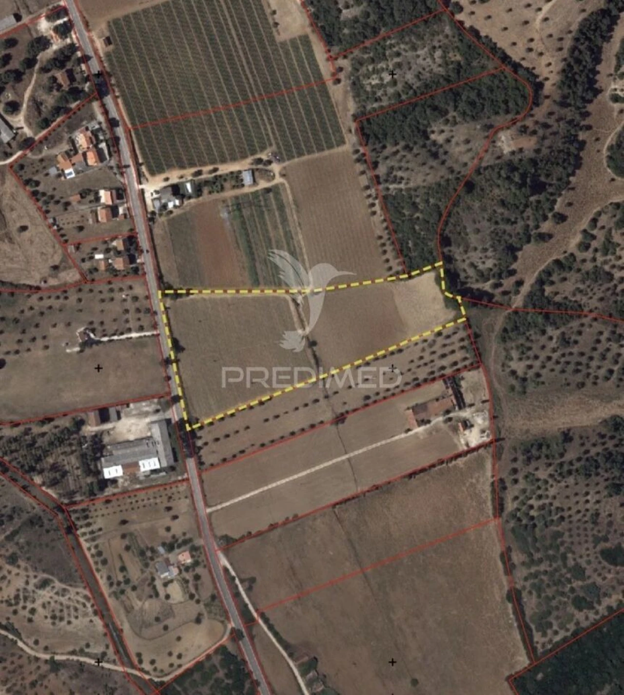 Terreno para Venda em Pernes Foto 1