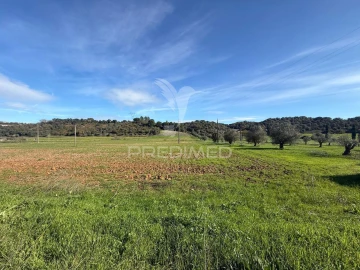 Terreno para Venda em Pernes