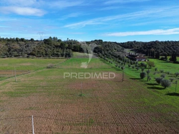 Terreno para Venda em Pernes
