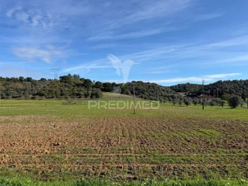 Terreno para Venda em Pernes