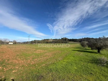 Terreno para Venda em Pernes