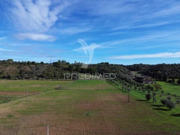 Terreno para Venda em Pernes