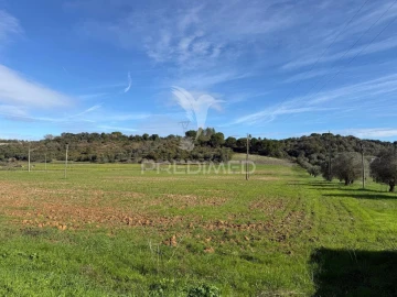 Terreno para Venda em Pernes