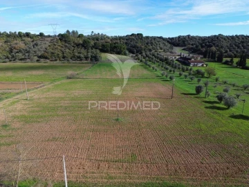 Terreno para Venda em Pernes