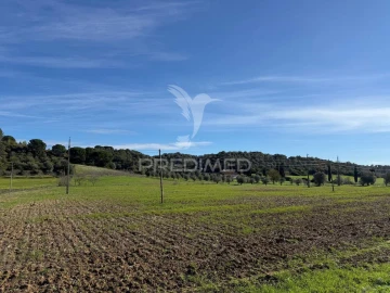 Terreno para Venda em Pernes