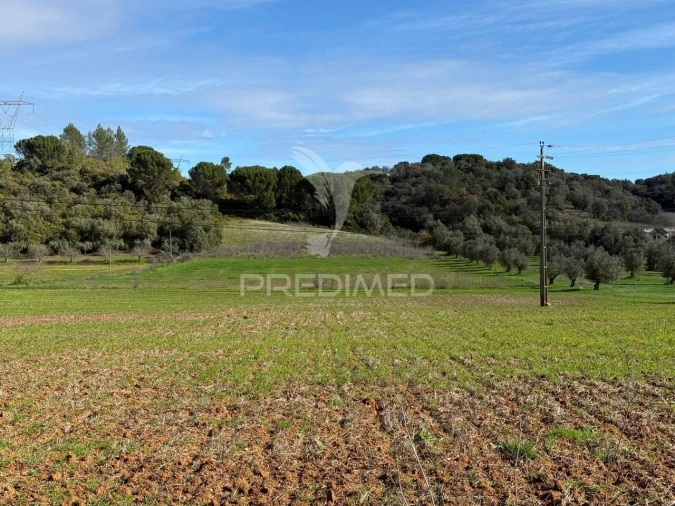 Terreno para Venda em Pernes Foto 10