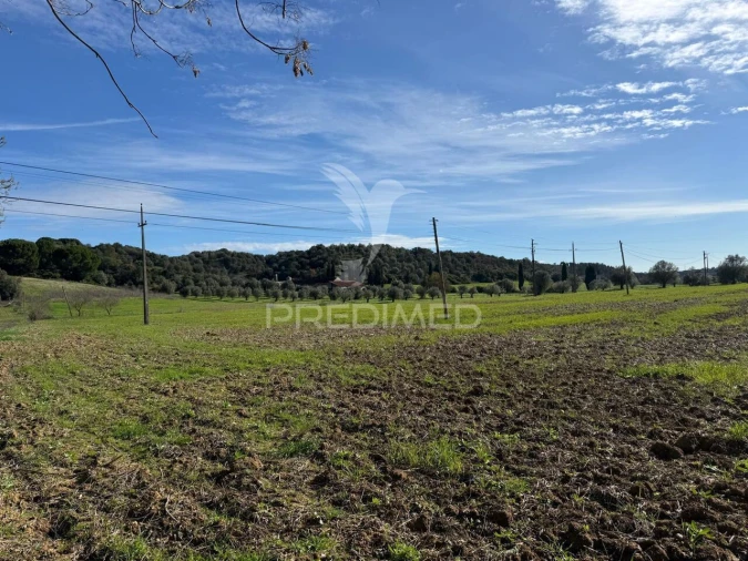 Terreno para Venda em Pernes Foto 6
