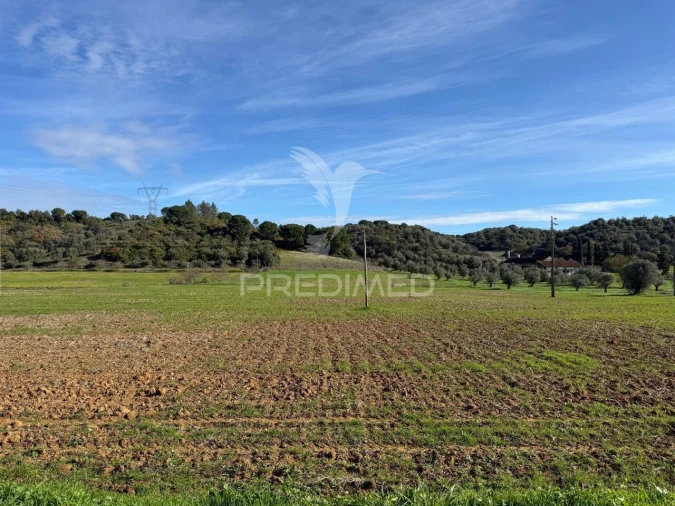 Terreno para Venda em Pernes Foto 15