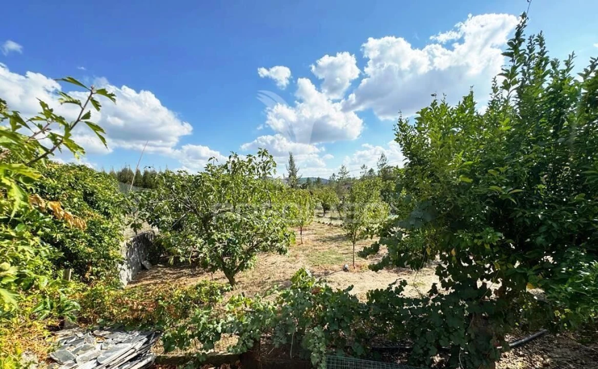 Quinta T2 para Venda em Alagoa Foto 20