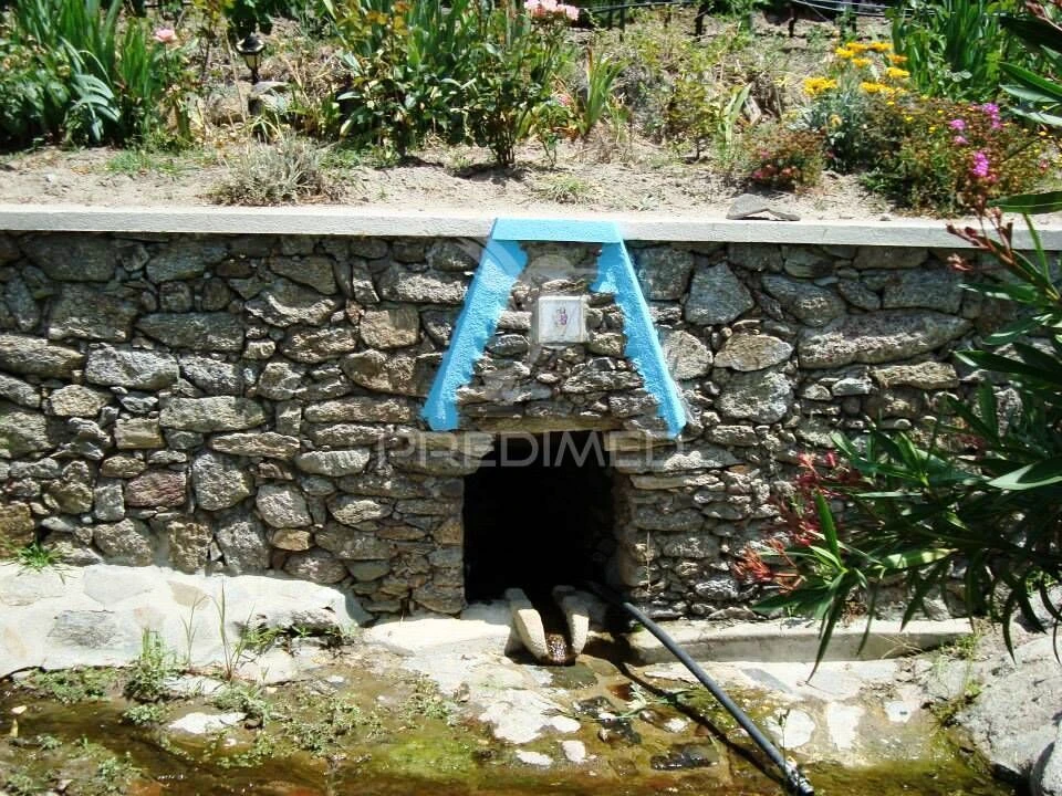 Quinta T2 para Venda em Alagoa Foto 25