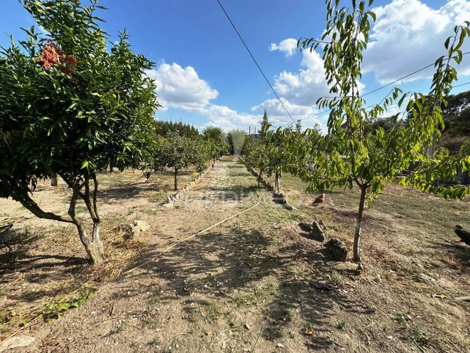 Quinta T2 para Venda em Alagoa Foto 21
