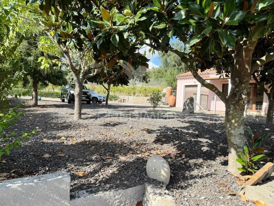 Quinta T2 para Venda em Alagoa Foto 31