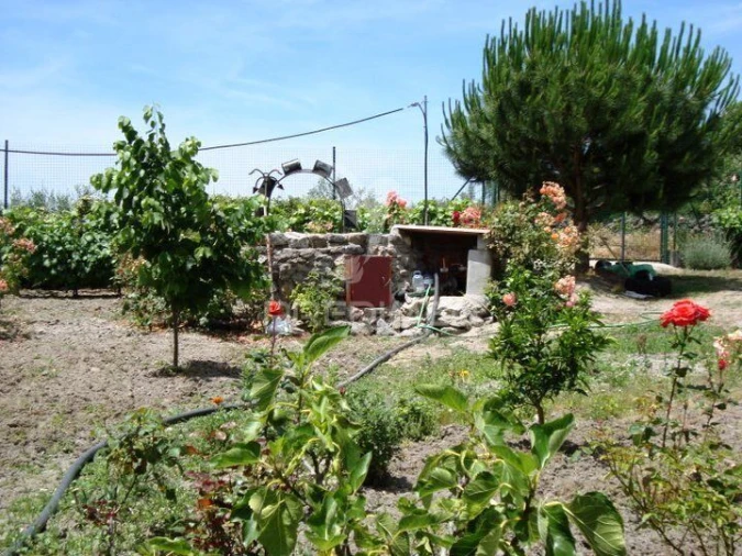 Quinta T2 para Venda em Alagoa Foto 26