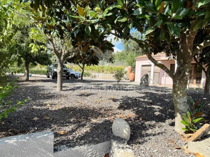 Quinta T2 para Venda em Alagoa Foto 31