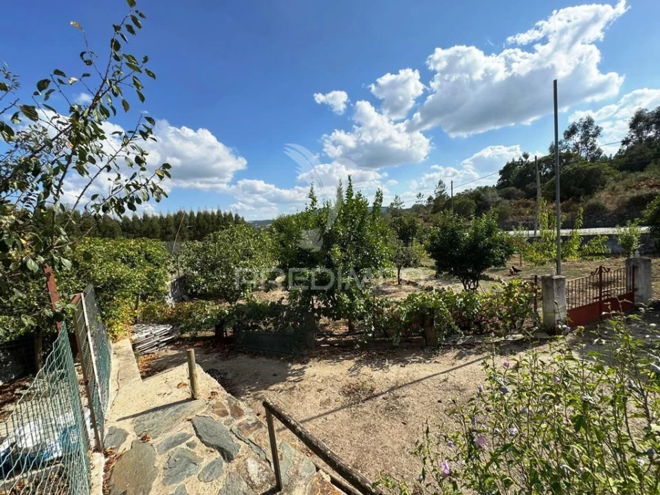 Quinta T2 para Venda em Alagoa Foto 19