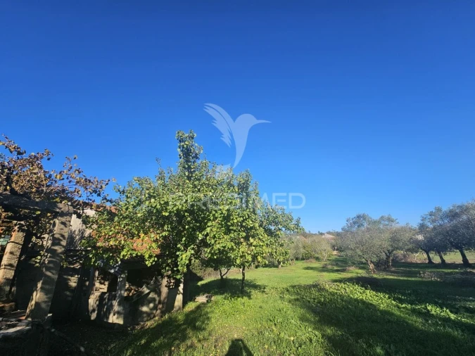 Moradia T3 para Venda em Chãos Foto 21