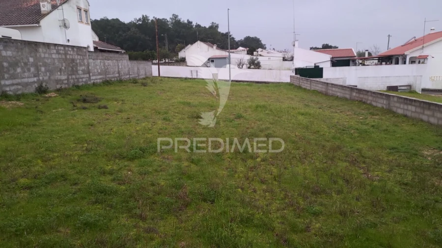 Terreno para Venda em Carregueira Foto 18