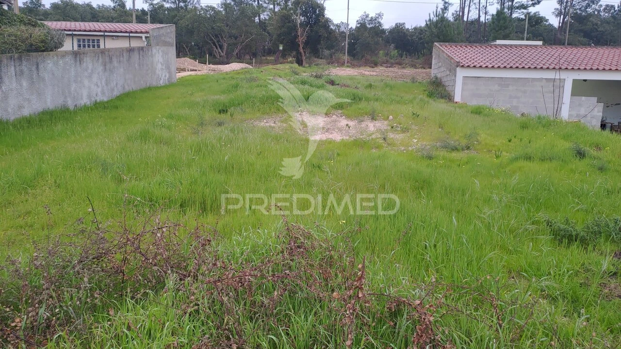 Terreno para Venda em Carregueira Foto 3