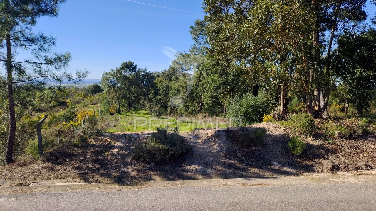 Terreno para Venda em Carregueira Foto 7