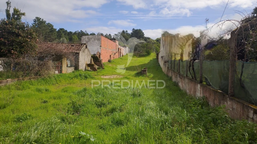 Terreno para Venda em Carregueira Foto 2