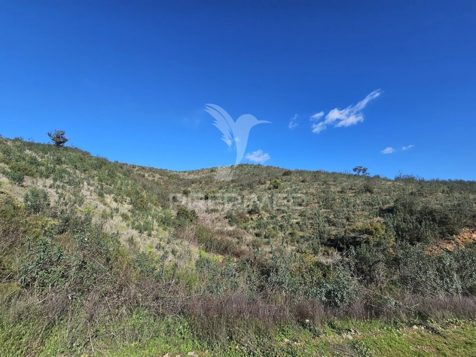 Quinta T2 para Venda em Ourique Foto 23