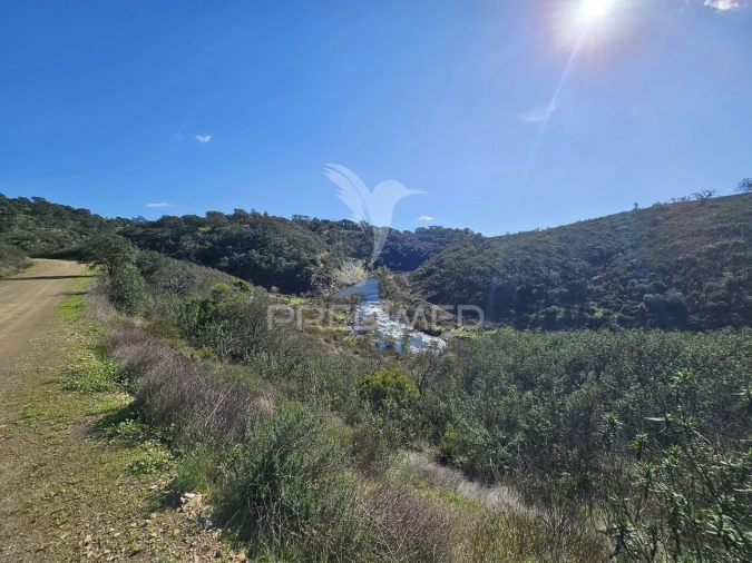 Quinta T2 para Venda em Ourique Foto 24