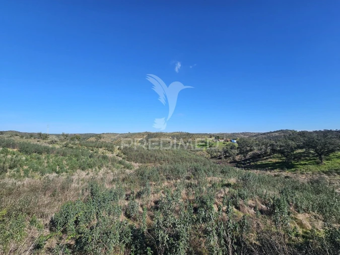 Quinta T2 para Venda em Ourique Foto 20