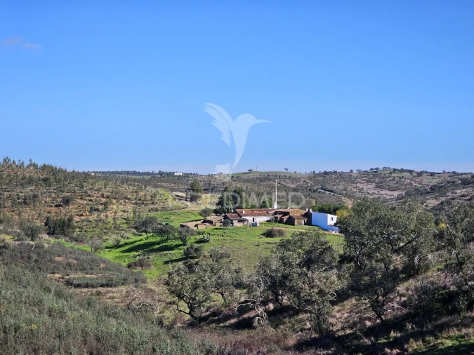 Quinta T2 para Venda em Ourique Foto 12