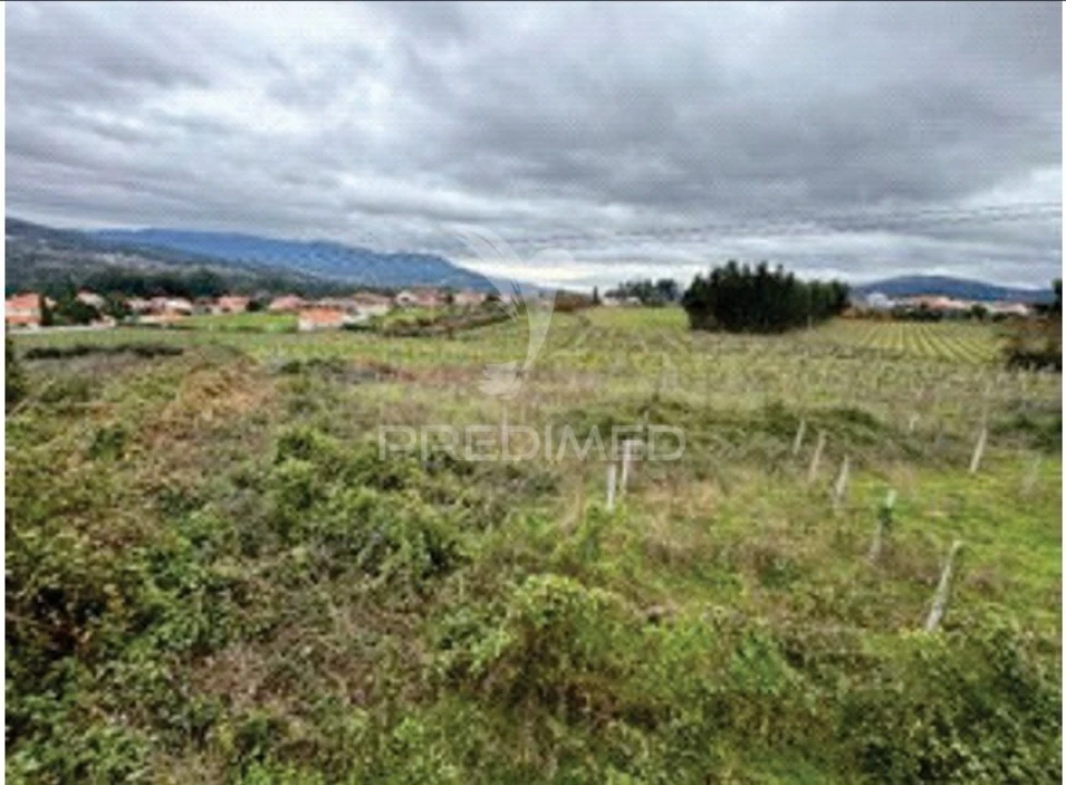 Quinta T9 para Venda em Barbeita Foto 14