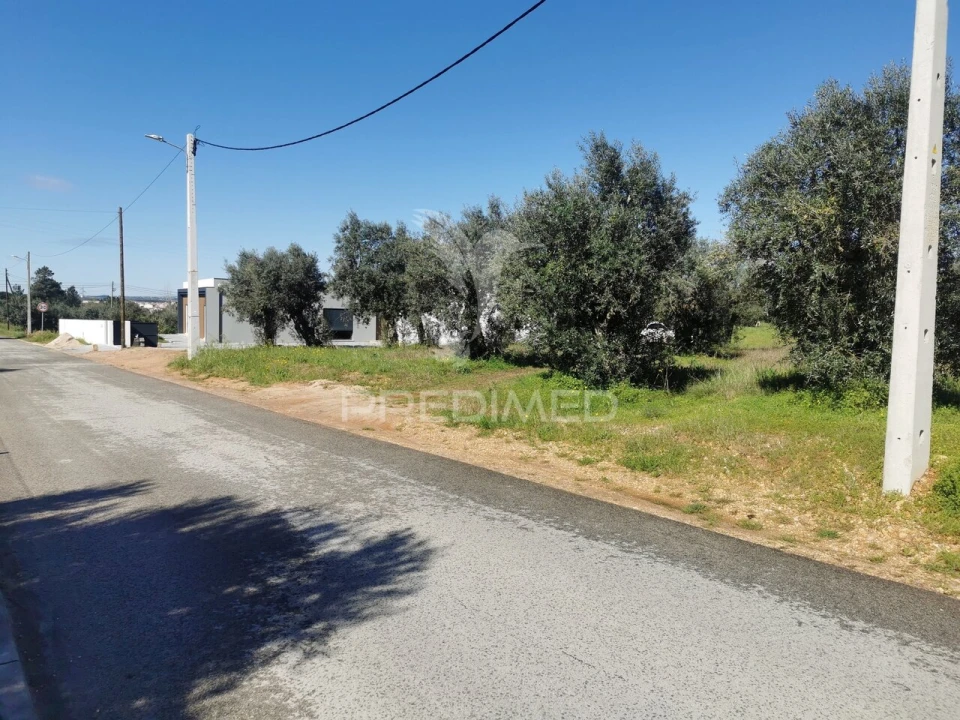 Terreno para Venda em Vila Nova da Barquinha Foto 5