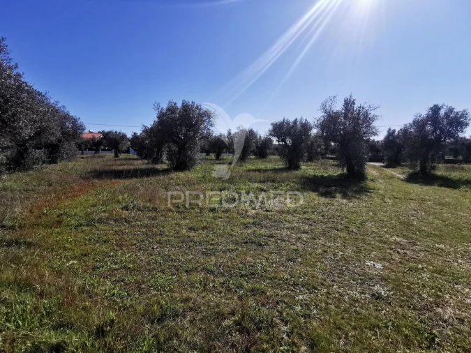 Terreno para Venda em Vila Nova da Barquinha Foto 7