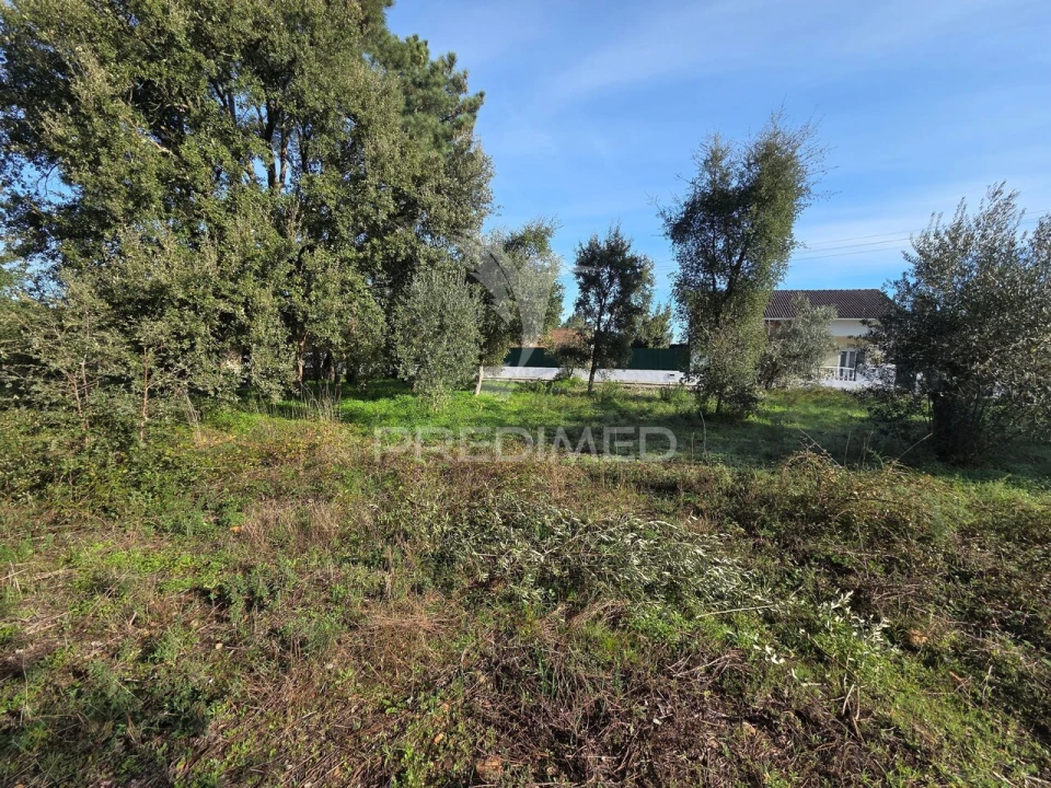 Terreno para Venda em Praia do Ribatejo Foto 9