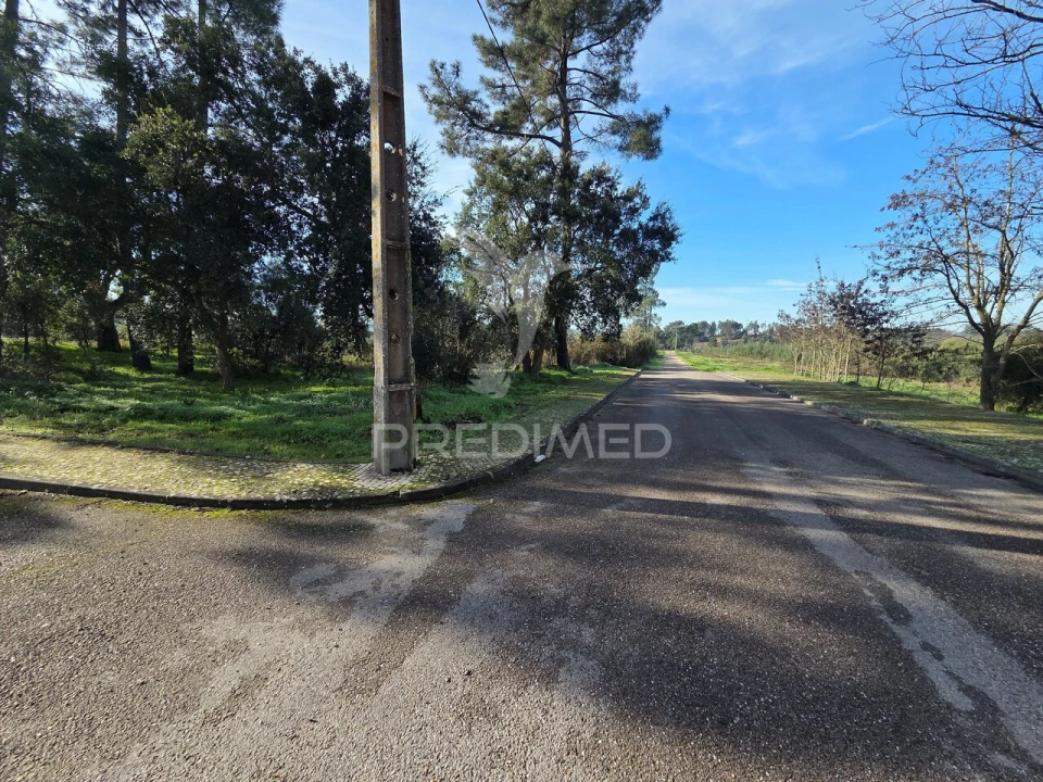 Terreno para Venda em Praia do Ribatejo Foto 1