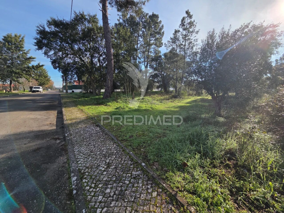 Terreno para Venda em Praia do Ribatejo Foto 5