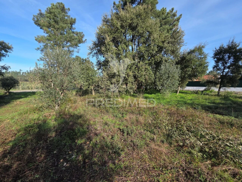 Terreno para Venda em Praia do Ribatejo Foto 8