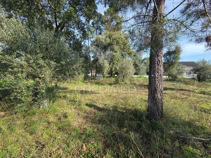Terreno para Venda em Praia do Ribatejo Foto 11