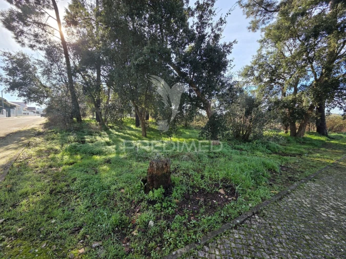 Terreno para Venda em Praia do Ribatejo Foto 3