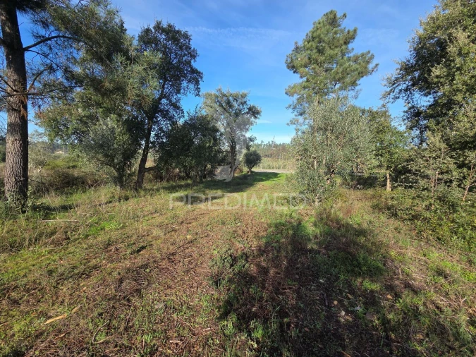 Terreno para Venda em Praia do Ribatejo Foto 7