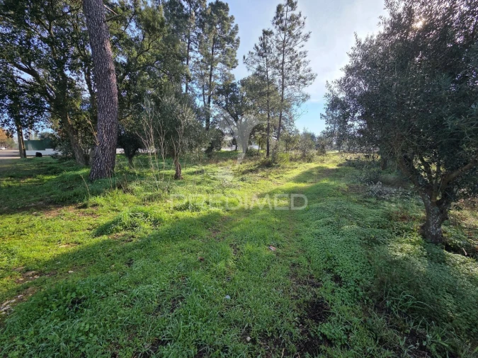 Terreno para Venda em Praia do Ribatejo Foto 6