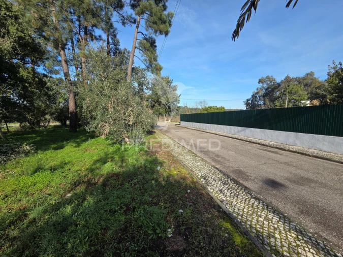 Terreno para Venda em Praia do Ribatejo Foto 13