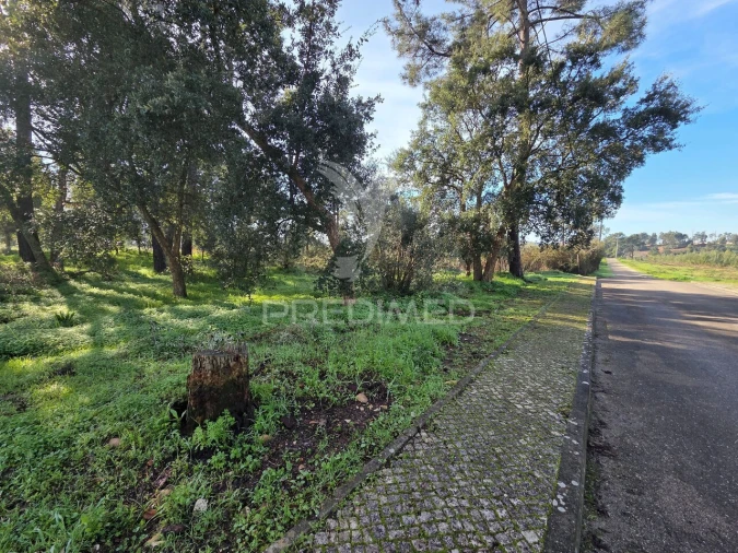 Terreno para Venda em Praia do Ribatejo Foto 4