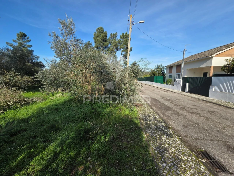 Terreno para Venda em Praia do Ribatejo Foto 3